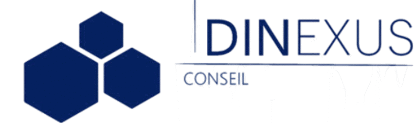 Dinexus Conseil